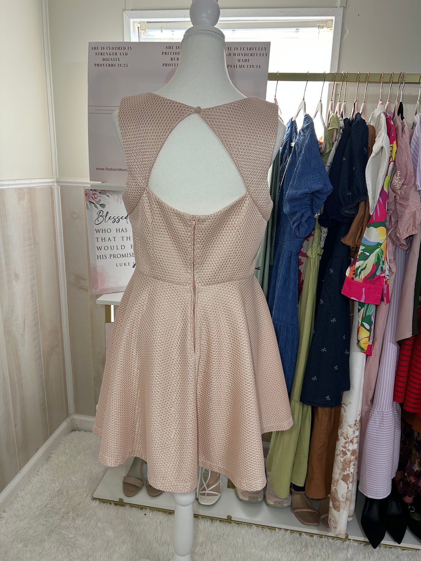 Blush Junior Dress