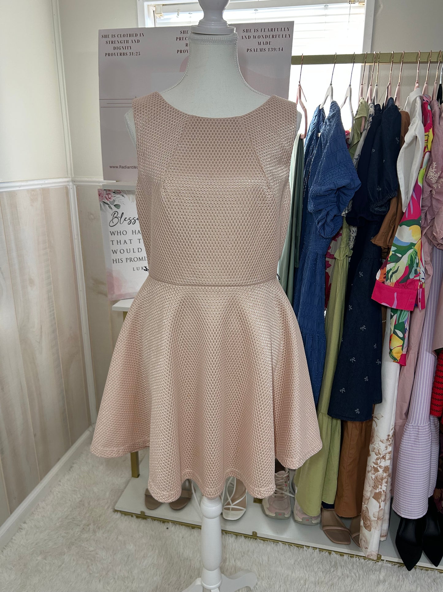 Blush Junior Dress